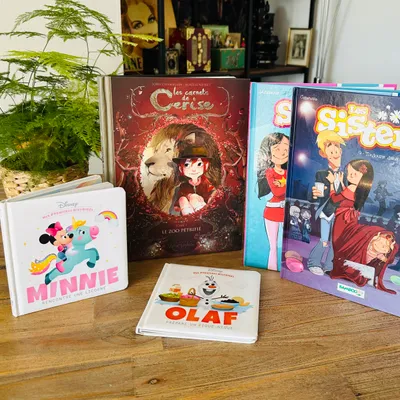 Lot de 5 livres jeunesse